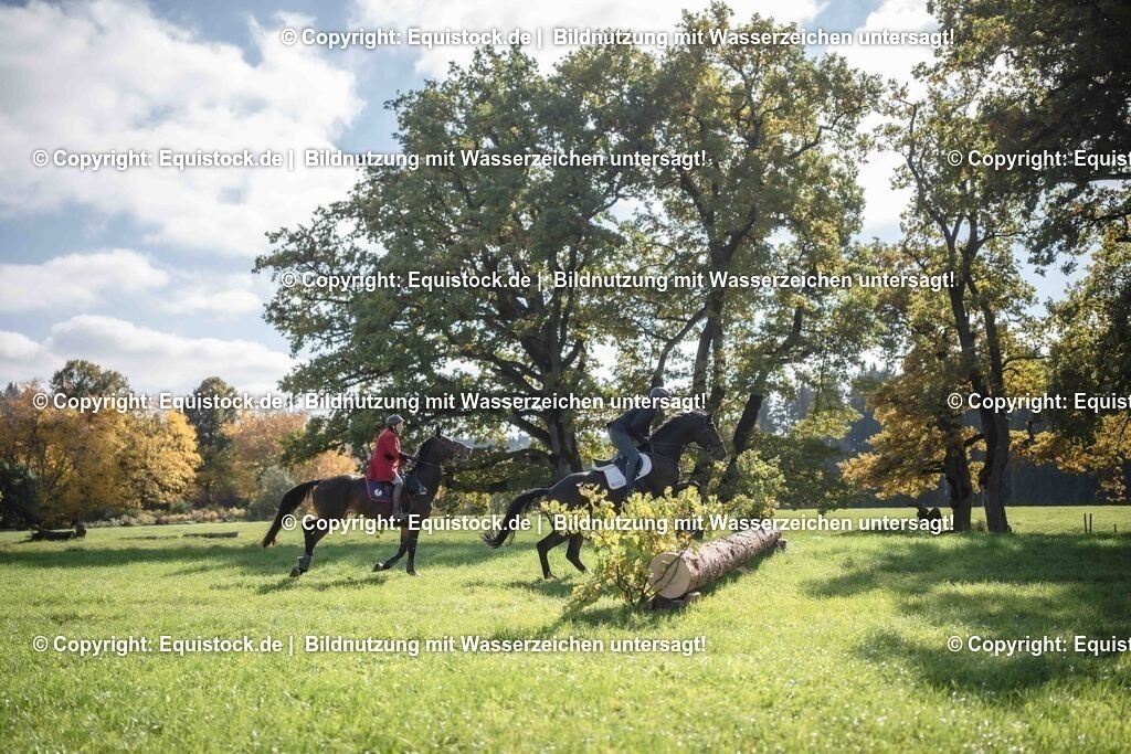 20251011_Jagd-Marbach_0364 | Foto: Thomas Hartig