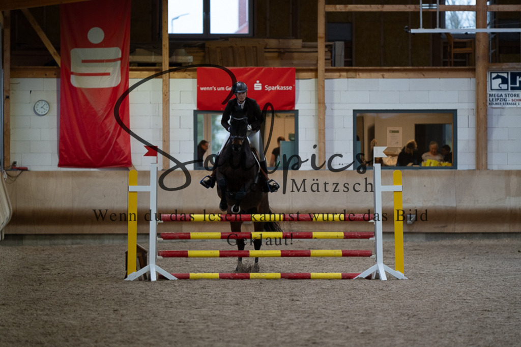 A7V03133 | Pferdefotograf