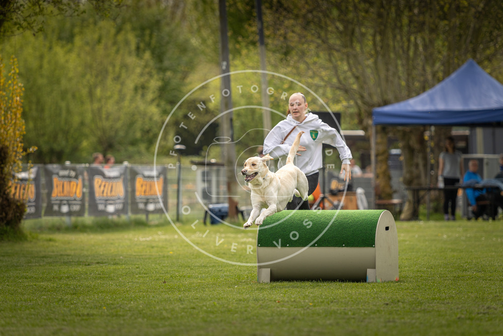 Pfotenfotografie_DV3A6564 | Hundefotografie, Tierfotograf, Pfotenfotografie, Fotoshooting Hund, Hunde Portrait, Hundesport, Hundeportraits, Heideshooting, Hunde, Sportfotograf, Hundefotograf, Turnierhundsport, THS,  - Realisiert mit Pictrs.com