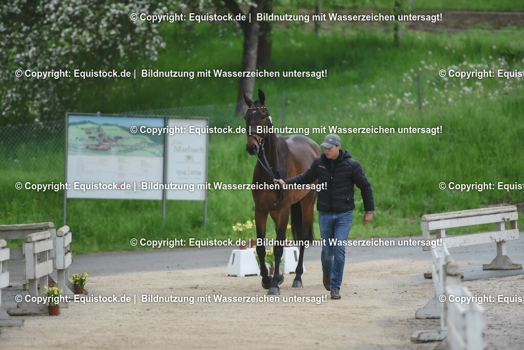 20230514_Impressionen_0073 | equistock