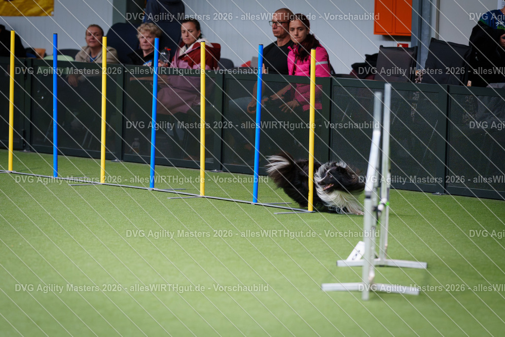 allesWIRTHgut_Tierfotografie-DVG_Agility_Masters_2026-11_40-7R506759 | Professionelle Tierfotografie in Mönchengladbach von Daniel Wirth (allesWIRTHgut). Liebevolle & natürliche Bilder von Hunden & Katzen für unvergessliche Erinnerungen.