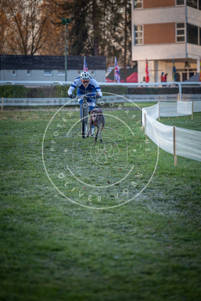 CaniXpix_0L8A1122 | Hundefotografie, Tierfotograf, Pfotenfotografie, Fotoshooting Hund, Hunde Portrait, Hundesport, Hundeportraits, Heideshooting, Hunde, Sportfotograf, Hundefotograf, Turnierhundsport, THS,  - Realisiert mit Pictrs.com