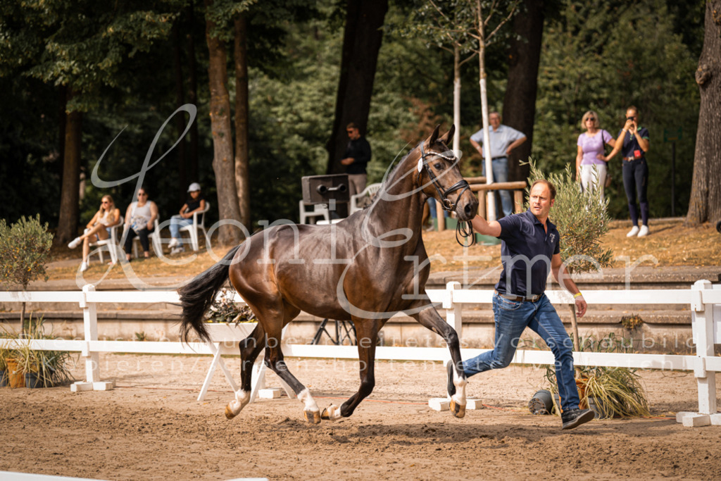 6.Fr00081 | Leoni Ertmer Photography - Realisiert mit Pictrs.com