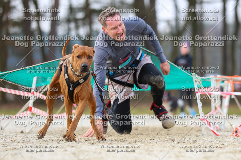 Dog Paparazzi - Strongdog North Mrz26-3846 | Dog Paparazzi Jeanette Grottendiek Fotografie & Videografie - Realisiert mit Pictrs.com