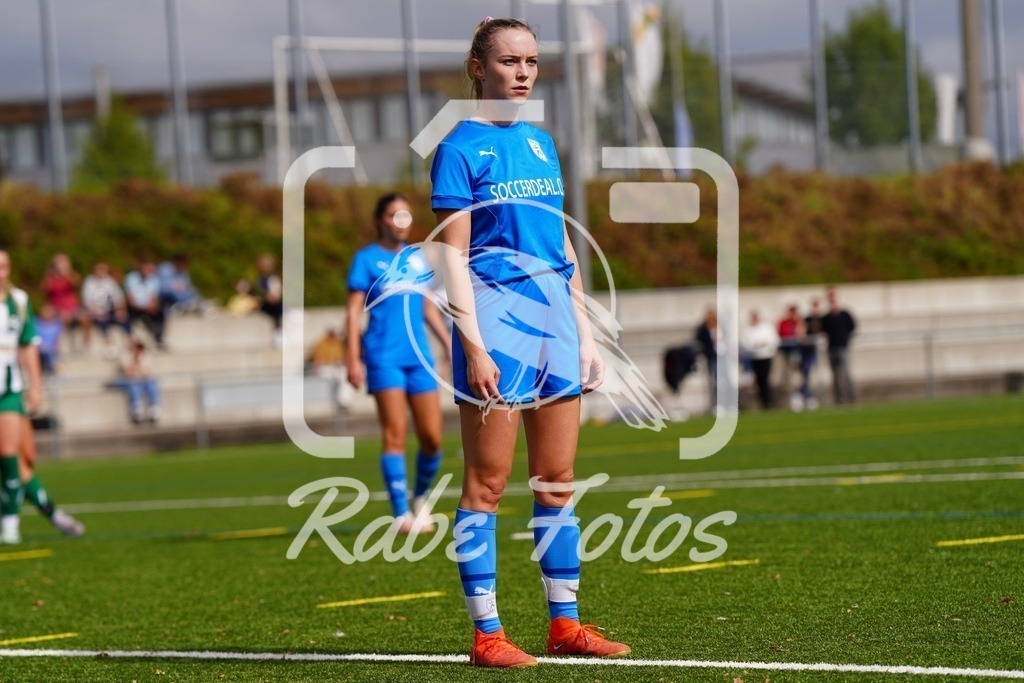 SON05849 | rabefotos