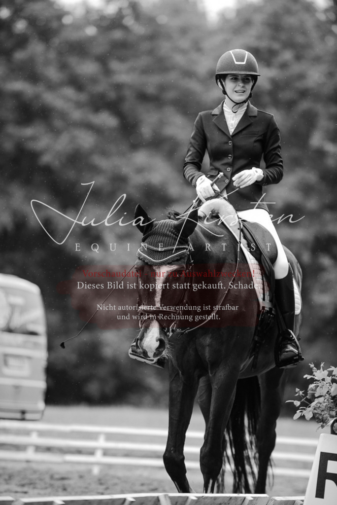 DSC_9767 | Pferde- und Turnierfotografie in Westsachsen. Pferdeportraits, Auftragszeichnungen und intuitive Kunst.