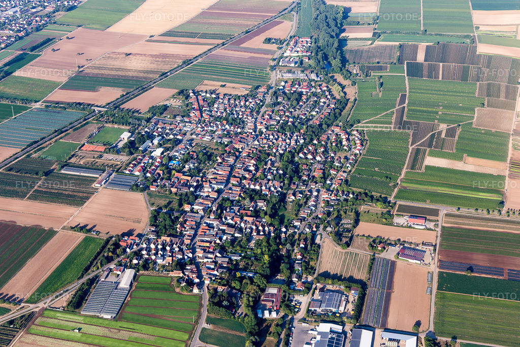 Luftbild: Landwirtschaftliche Nutzflächen und Feldgrenzen umsäumen das Siedlungsgebiet des Dorfes (Pfalz) in Weingarten im Bundesland Rheinland-Pfalz in Deutschland. Foto: IMG_109602.jpg vom 31.07.2018 durch Werner Riehm/FLY-FOTO.de