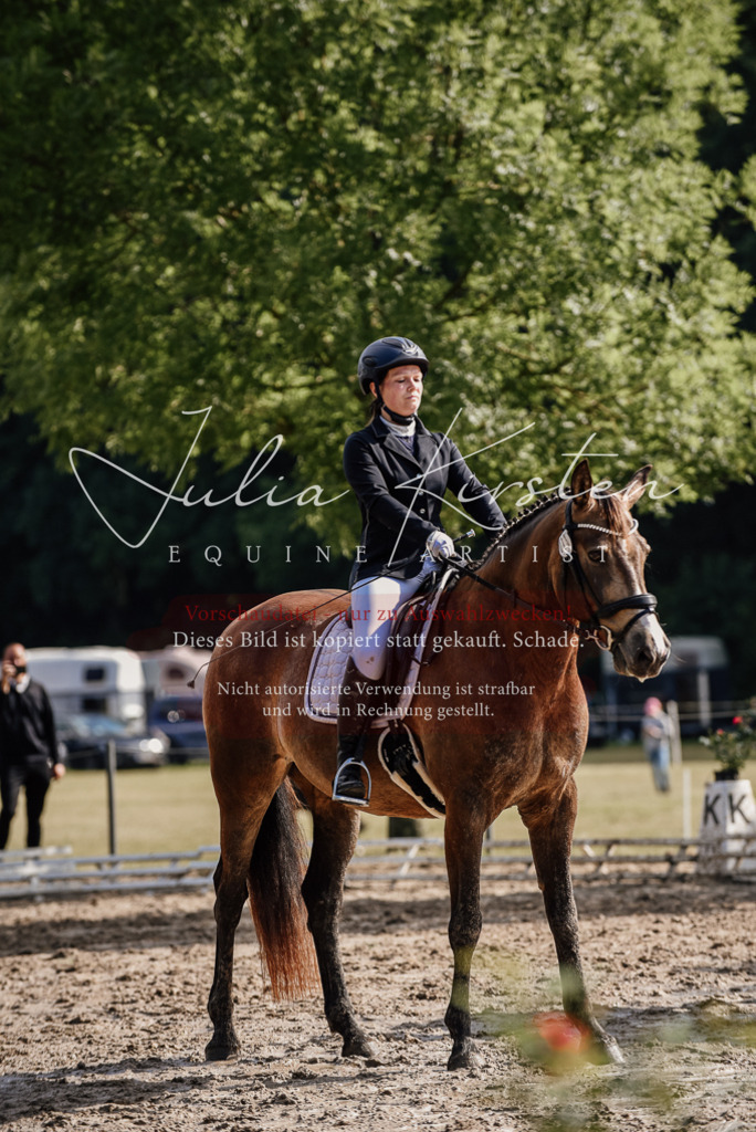 DSC_9230 | Pferde- und Turnierfotografie in Westsachsen. Pferdeportraits, Auftragszeichnungen und intuitive Kunst.