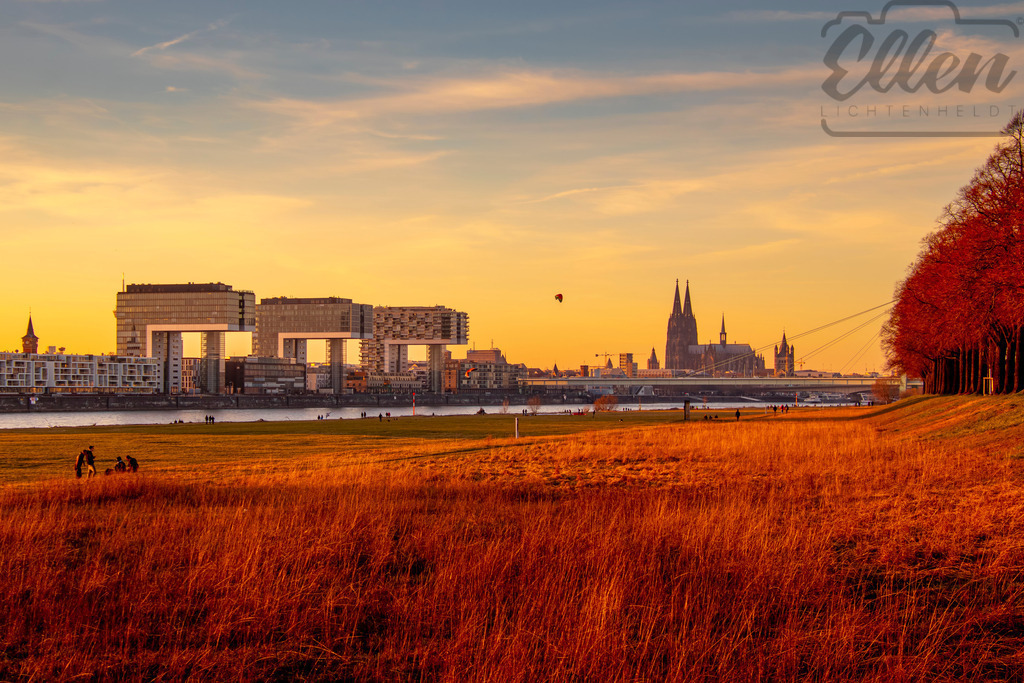 Evening Glow over the Rhine | Golden light fills the riverside meadows as Cologne’s skyline stretches along the Rhine — from the modern Kranhäuser to the historic cathedral. A peaceful balance of architecture, nature, and evening warmth. - Realisiert mit Pictrs.com