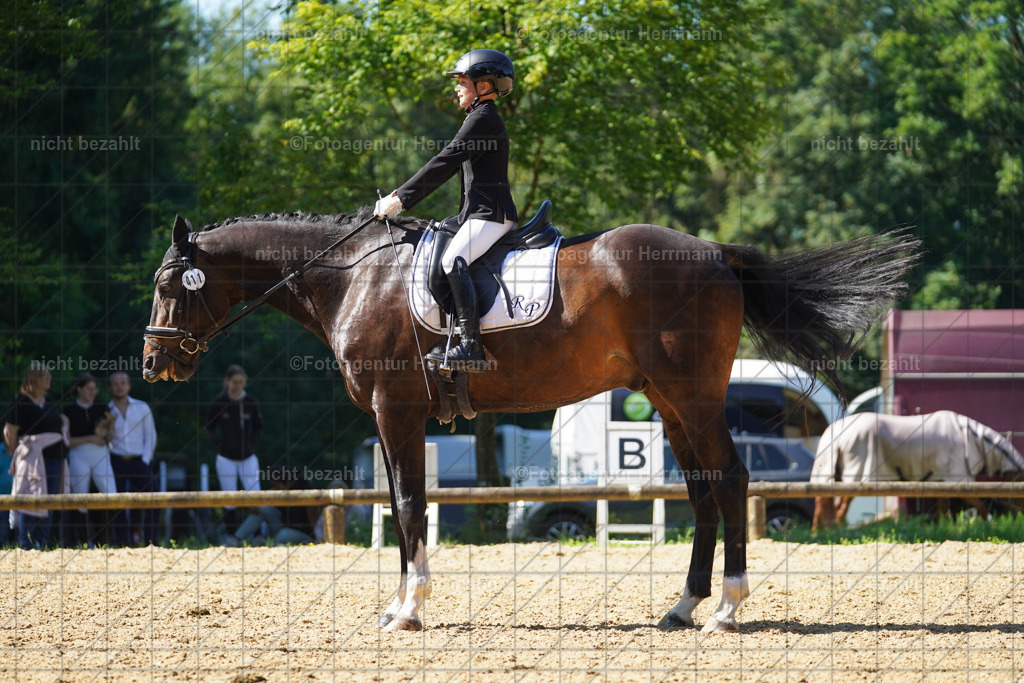 20240706-FAH04813 | Grafing Turnierfotos, Reitverein Ebersberg, Turnierfotografen Bayern, reitsportbilder, Pferdefotograf, reitsportfotograf, Sportbilder, Reitsportfotografie, Fotoagentur Herrmann, Turnierfotograf