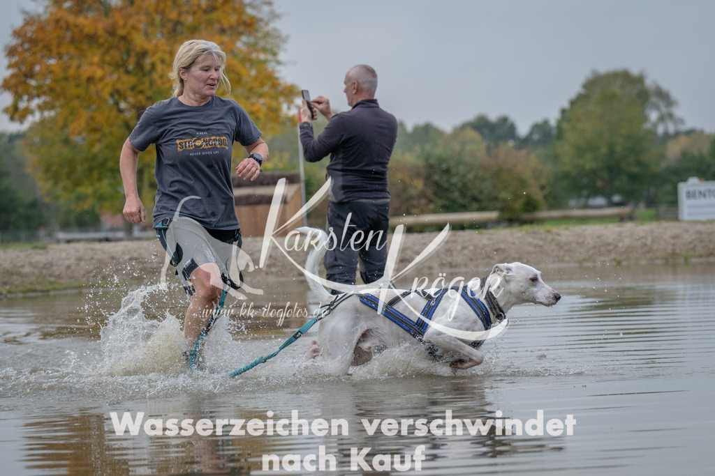 1504_ZZ92902 | kk-dogfotos