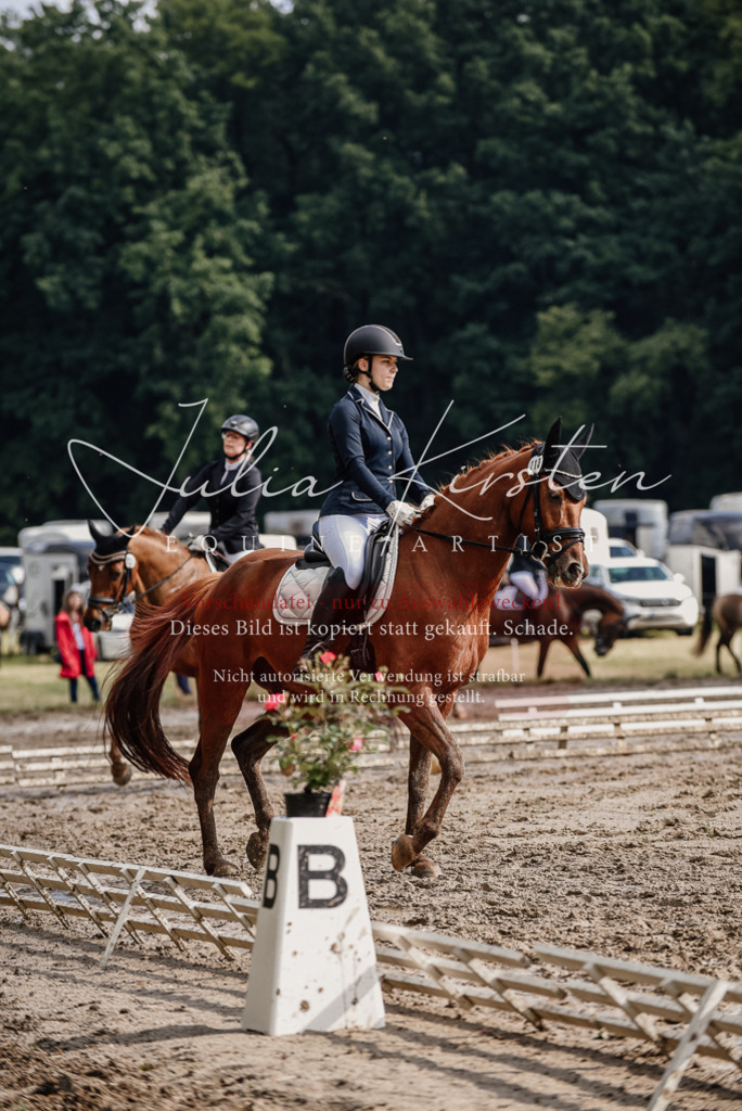 DSC_8952 | Pferde- und Turnierfotografie in Westsachsen. Pferdeportraits, Auftragszeichnungen und intuitive Kunst.