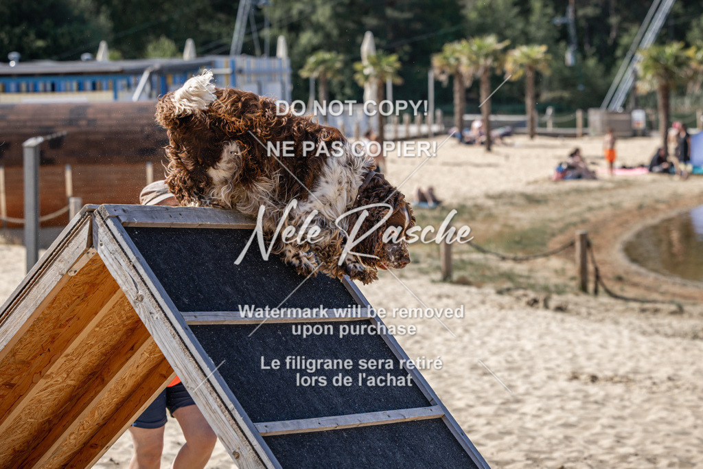 nelerasche_saBeachility_336 | nelerasche