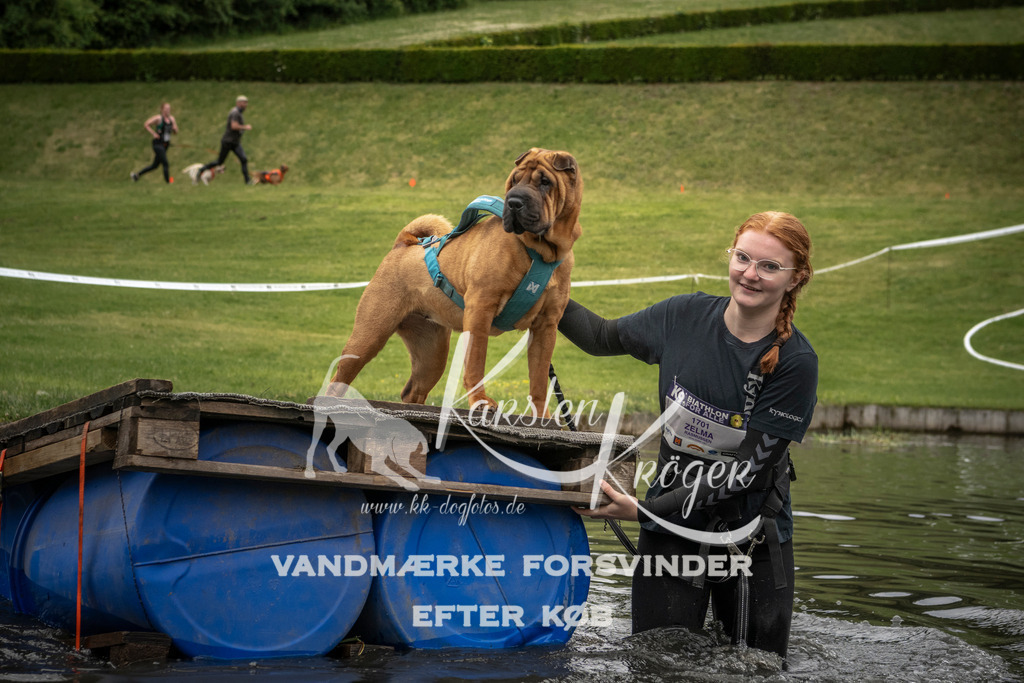 1101_ZZ95874 | kk-dogfotos