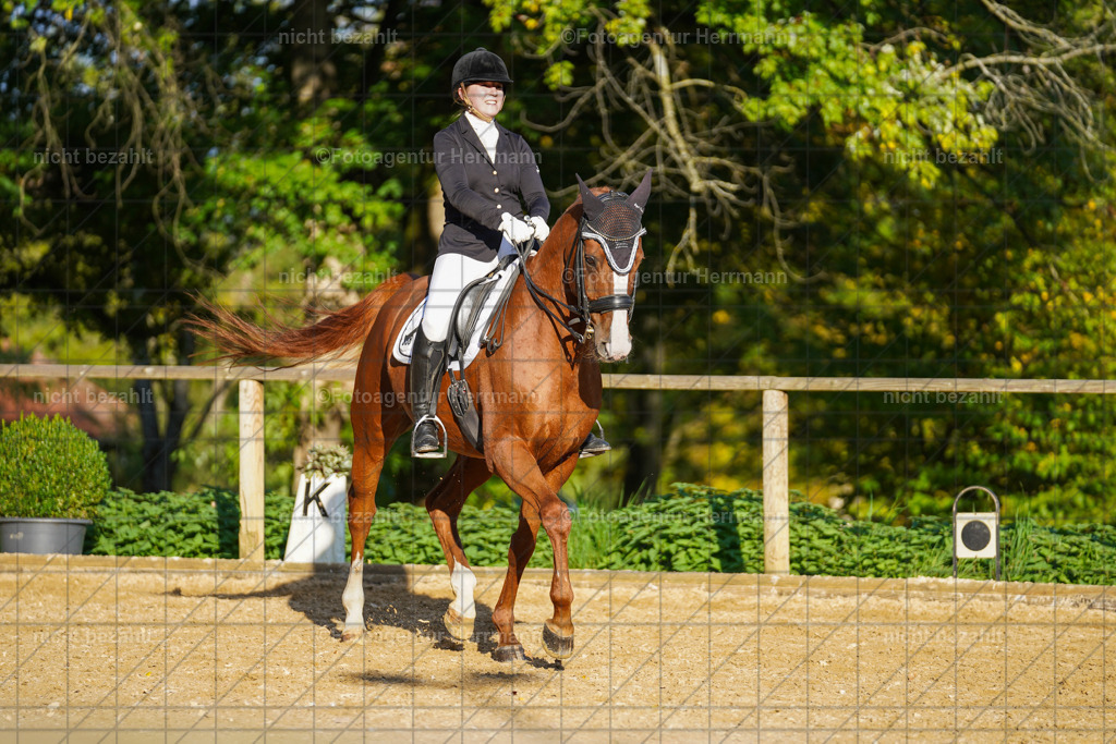 20221007-FAH00239 | Diessen am Ammersee, 2022, Dressur- und Springturnier, Reitsportbilder, Turnierfotografen Bayern, Pferdefotografen, Fotoagentur Herrmann, Turnierbilder