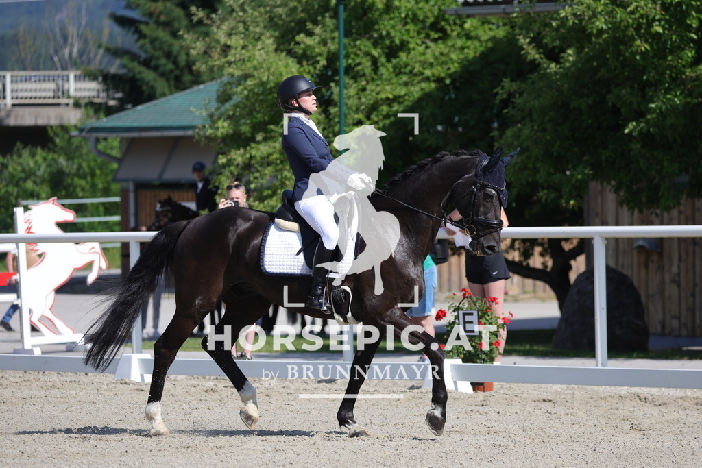0P6A0048 | Willkommen bei Brunnmayr - Design & Fotografie – Ihrem Spezialisten für Reitturniere und Pferdeveranstaltungen in Oberösterreich, Salzburg und Bayern! Seit über 17 Jahren sind wir leidenschaftlich dabei.