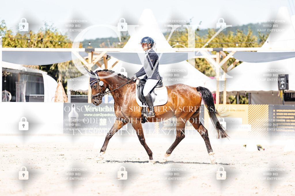 CK909309 | Turnierfotografie Pferdefotografie Trier Rheinland-Pfalz Pferdesport Reitsport Tierfotografie Sportfotografie Pferdevideo Pferdevideografie Equestrianvideography equestrianphotography  - Realisiert mit Pictrs.com