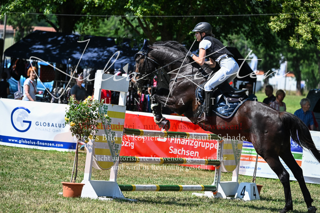 DSC_1114 | Pferde- und Turnierfotografie in Westsachsen. Pferdeportraits, Auftragszeichnungen und intuitive Kunst.