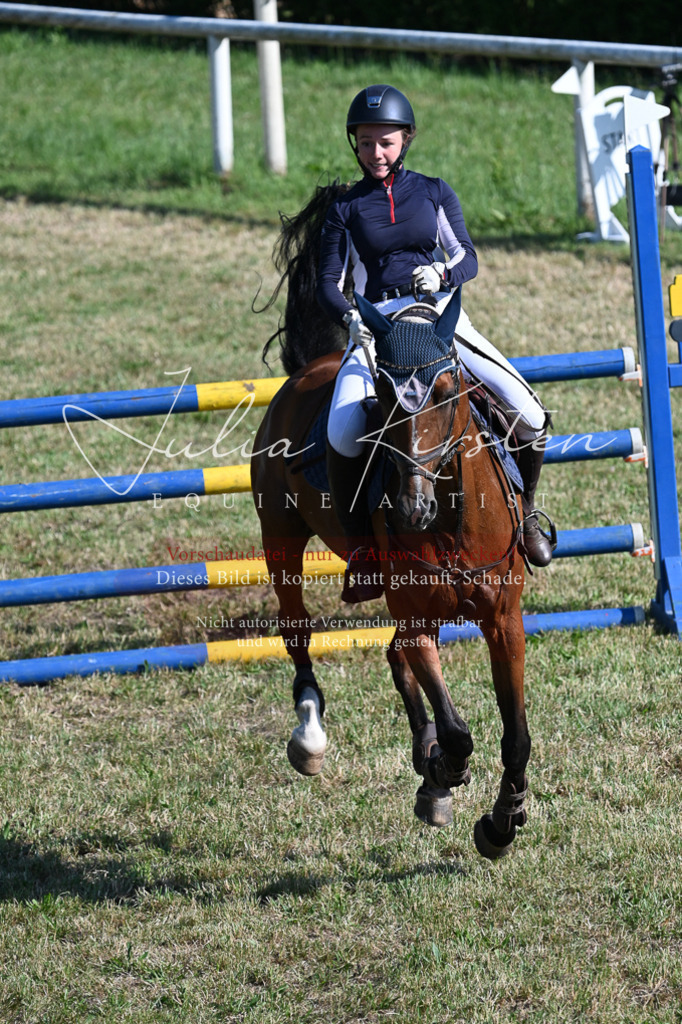 DSC_2431 | Pferde- und Turnierfotografie in Westsachsen. Pferdeportraits, Auftragszeichnungen und intuitive Kunst.