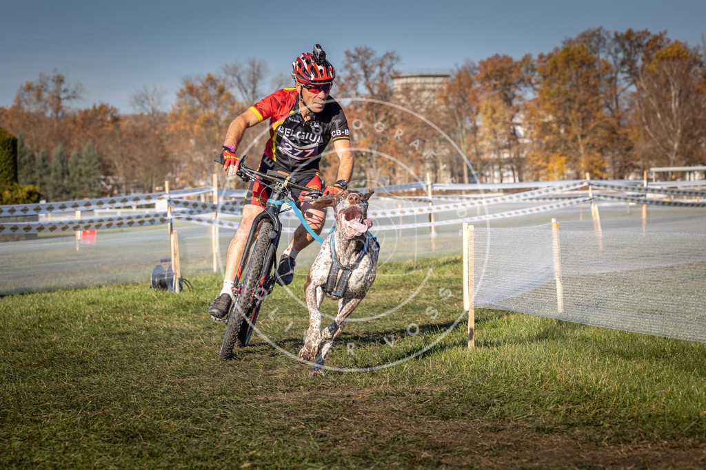 CaniXpix_0L8A5204 | Hundefotografie, Tierfotograf, Pfotenfotografie, Fotoshooting Hund, Hunde Portrait, Hundesport, Hundeportraits, Heideshooting, Hunde, Sportfotograf, Hundefotograf, Turnierhundsport, THS,  - Realisiert mit Pictrs.com