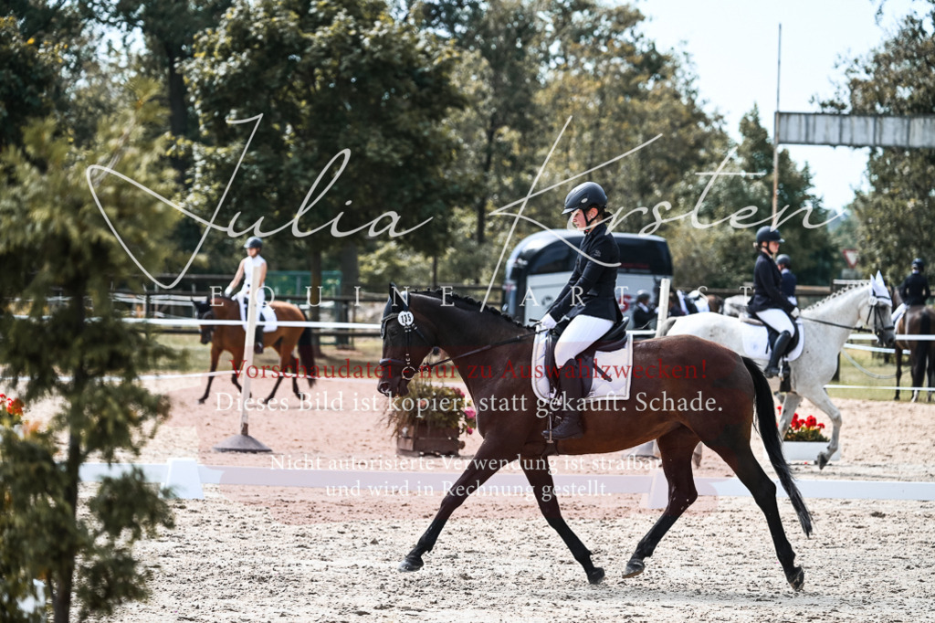 DSC_5285 | Pferde- und Turnierfotografie in Westsachsen. Pferdeportraits, Auftragszeichnungen und intuitive Kunst.