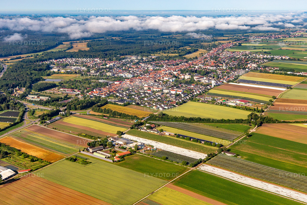 Luftbild: Ortsansicht von Nordosten in Kandel im Bundesland Rheinland-Pfalz in Deutschland. Foto: IMG_141834.jpg vom 18.06.2024 durch Werner Riehm/FLY-FOTO.de