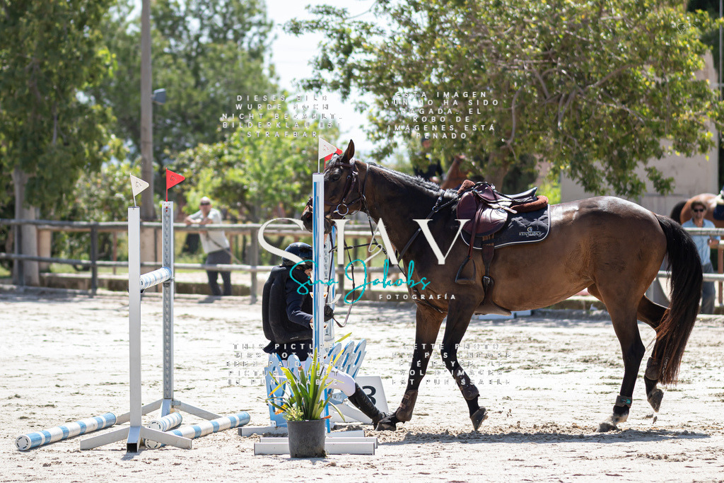 IMG_9938 | s-jay-photography - Realized with Pictrs.com