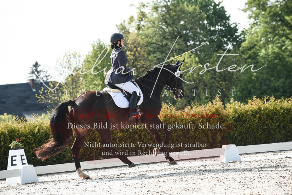 20230518_JK-Röhrsdorf-09-1028 | Pferde- und Turnierfotografie in Westsachsen. Pferdeportraits, Auftragszeichnungen und intuitive Kunst.