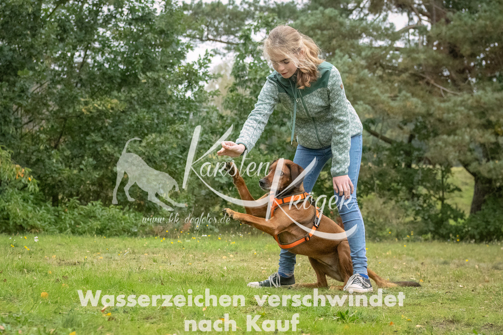 1135_ZZ94706-Bearbeitet | kk-dogfotos