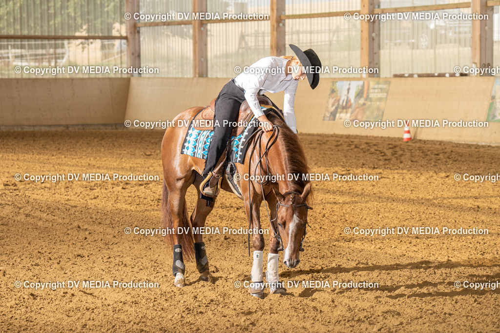 LAU01410 | dv-media-shop - Realisiert mit Pictrs.com