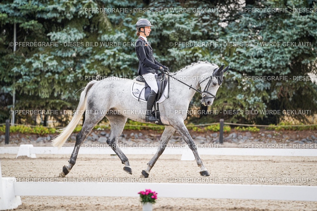 DSC00079 | Pferdegrafie