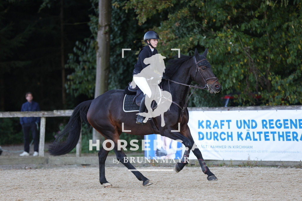 0P6A2001 | Willkommen bei Brunnmayr - Design & Fotografie – Ihrem Spezialisten für Reitturniere und Pferdeveranstaltungen in Oberösterreich, Salzburg und Bayern! Seit über 17 Jahren sind wir leidenschaftlich dabei.