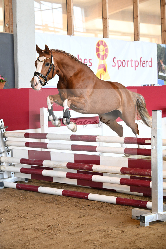 Kat-Nr. 46 TP Fabelhafter Floris v. Fabelhafter Frechdachs_Schmid_7251156 | hf-fotografie - Realizzato con Pictrs.com