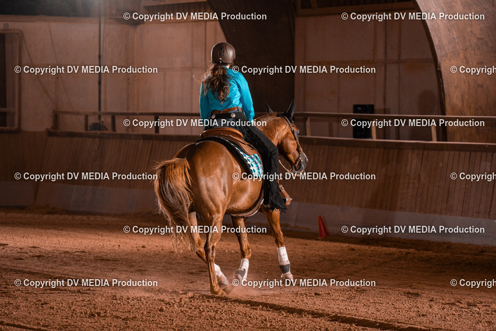 NE201528 | dv-media-shop - Realisiert mit Pictrs.com