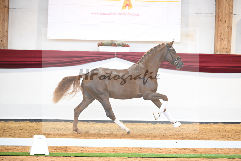Kat-Nr. 74 v. Le Formidable_Maier_66220353 | hf-fotografie - Realisiert mit Pictrs.com