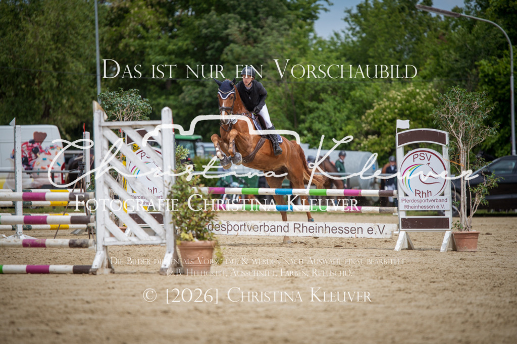 DSC_2995 | Christina-Kleuver