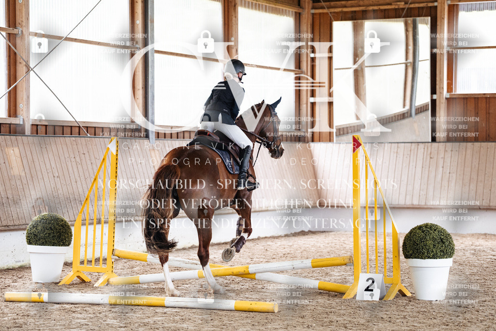 CK902588 | Turnierfotografie Pferdefotografie Trier Rheinland-Pfalz Pferdesport Reitsport Tierfotografie Sportfotografie Pferdevideo Pferdevideografie Equestrianvideography equestrianphotography  - Realisiert mit Pictrs.com