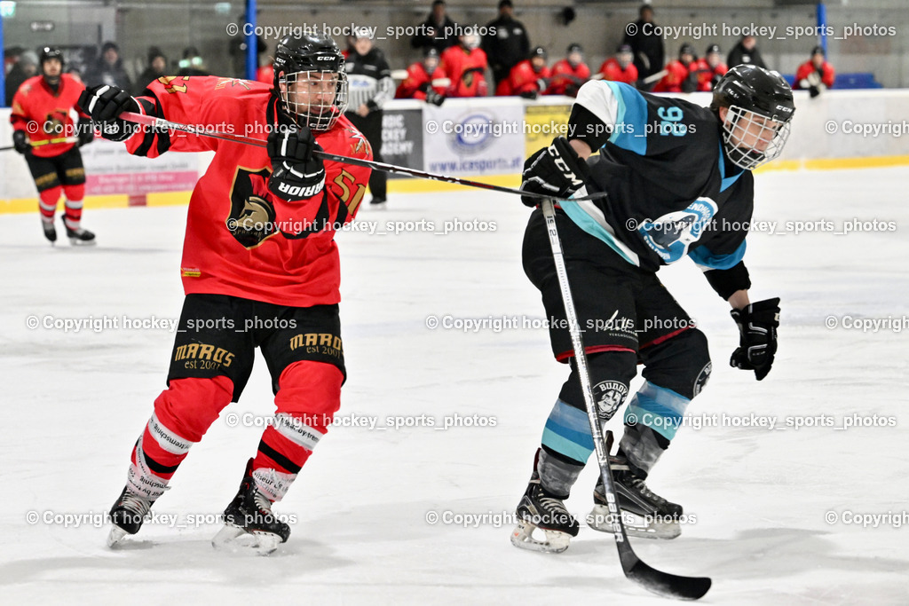 Lendhafen Seelöwen vs. Spartans Althofen | #51 Titze Lukas Spartans Althofen, #92 Czechner Sandro Lendhafen Seelöwen, Lendhafen Seelöwen vs. Spartans Althofen, Lendhafen Seelöwen vs. Spartans Althofen am 14.02.2025 in Ferlach (HTC Eishalle Ferlach), Austria, (Photo by Bernd Stefan)