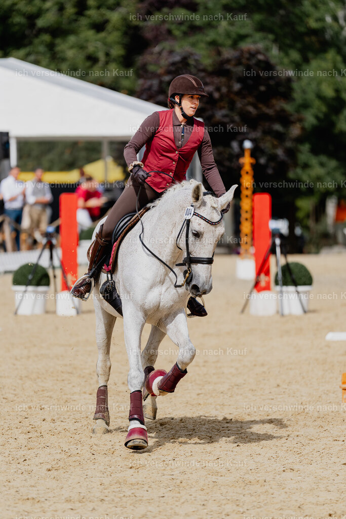 Kelly4_FHC2025-2766 | working equitationturnier fotograf videograf stoibphotography marixx film working equitation deutschland reitsport turnierfotografie eventfotografie equestrian events