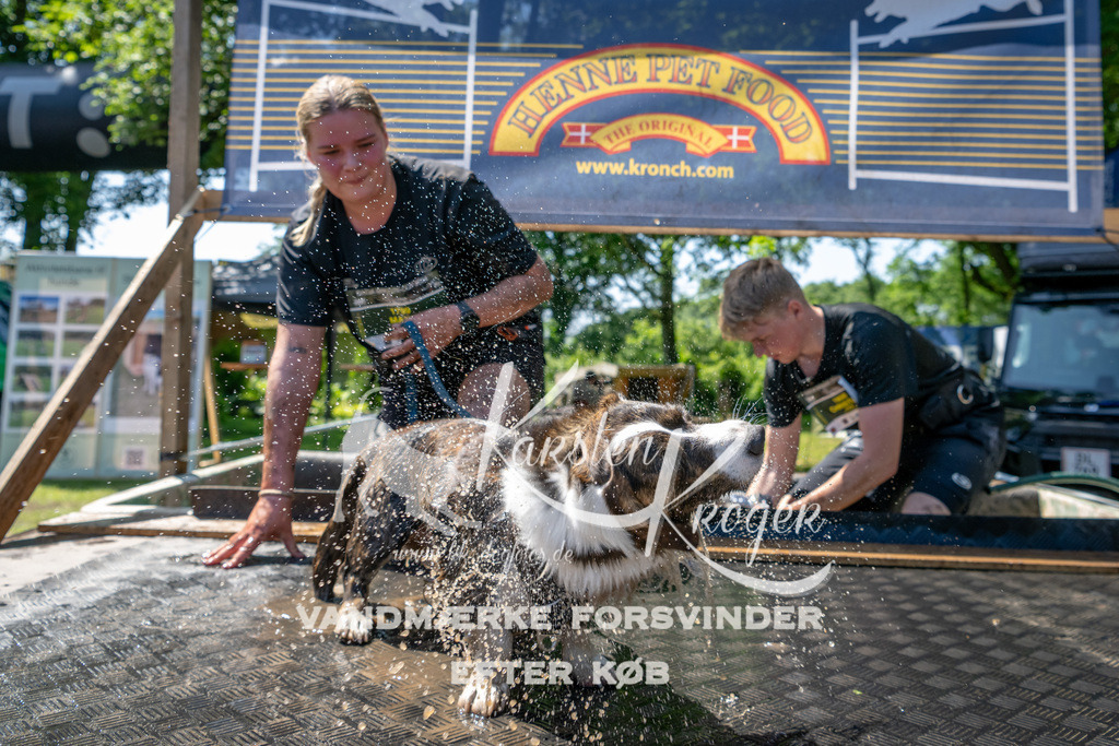 1237_ZZ91443 | kk-dogfotos