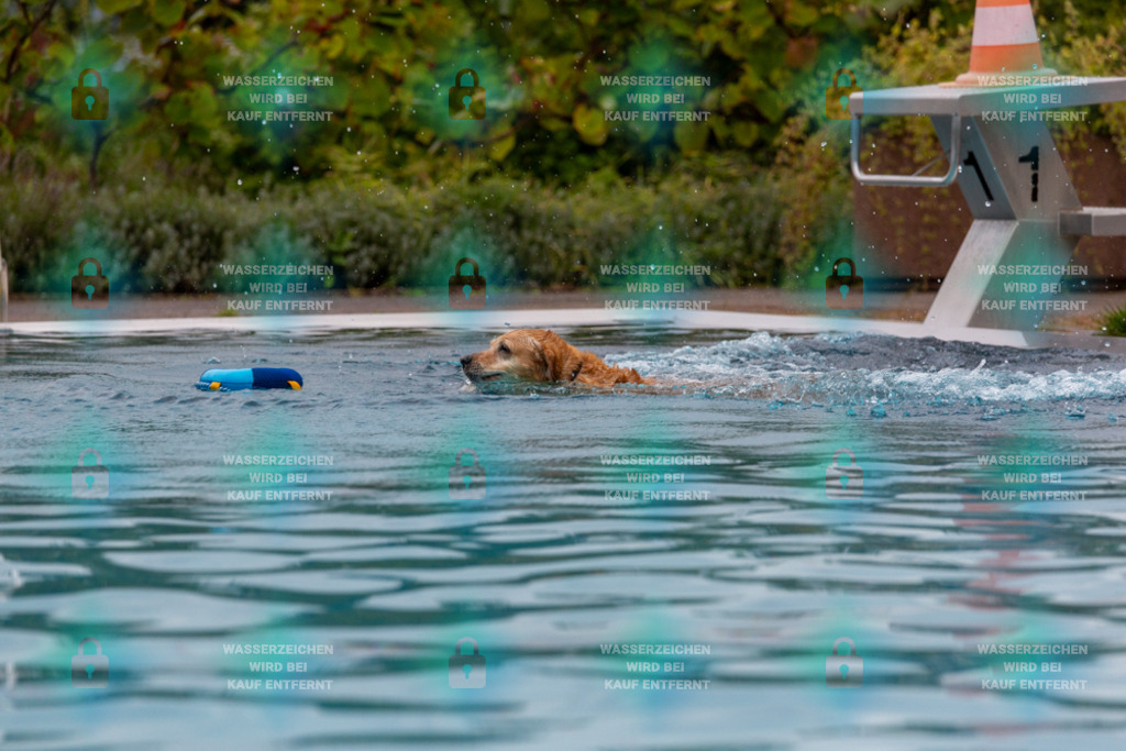 _HP_6082_1000o | HetPix, HetPix Fotodesign, Fotografie, Fotodesign, Webshop, Sportfotografie, Portraitfotografie, Onlineshop, Sportfotografie, Polch, Motorsportfotografie, Eventfotografie