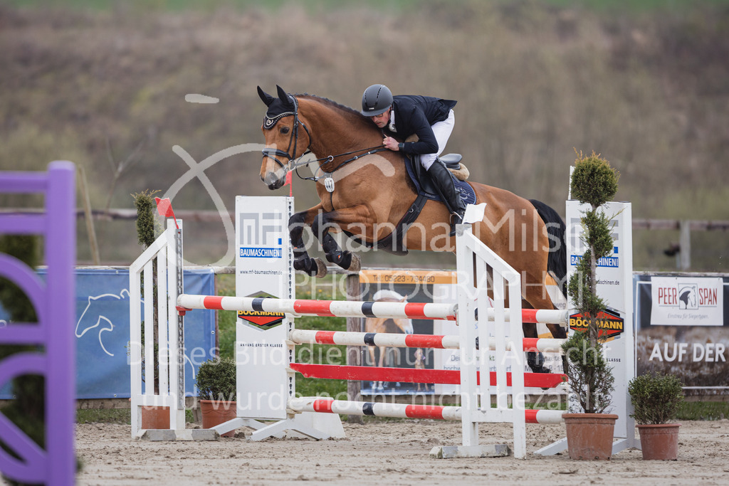 230408_Frühlingsfest_Stil-L-2-828 | Deine schönsten Turniermomente als professionelle Fotos! Entdecke hochwertige Pferdesport-Fotografie im Online-Shop. Jetzt Fotos finden & bestellen!