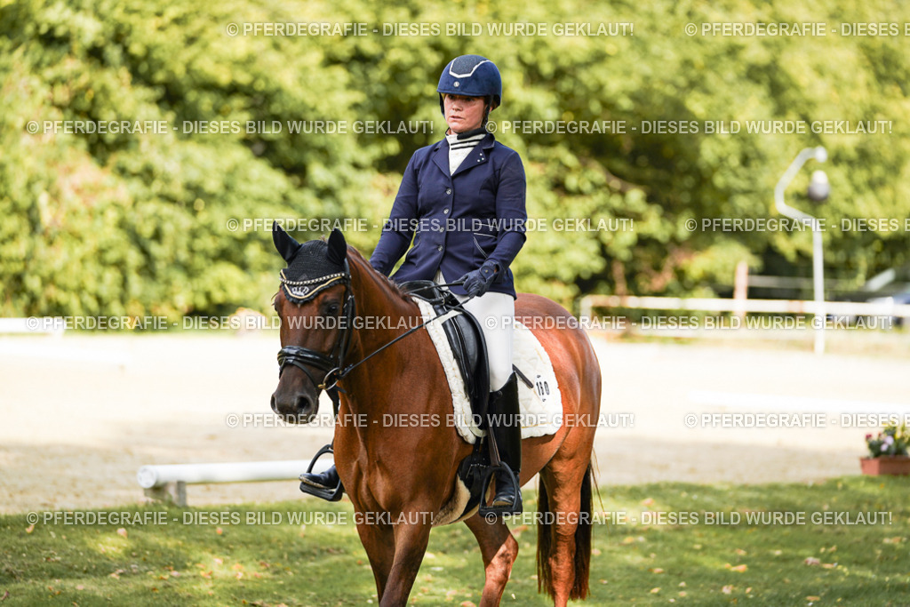 DSC02493 | Pferdegrafie