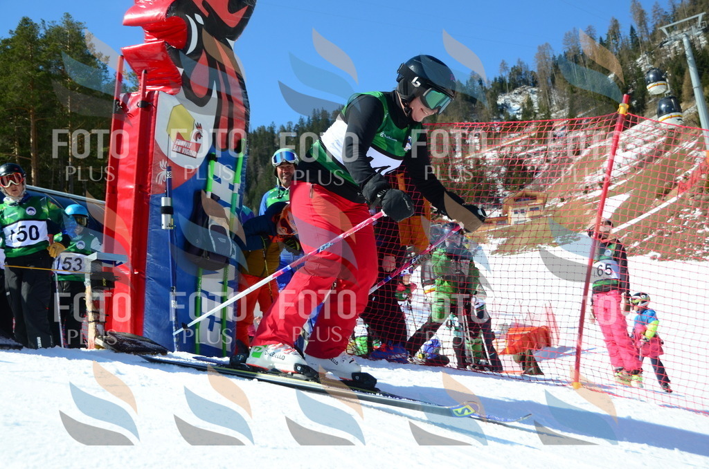 C6107 | holidayphoto