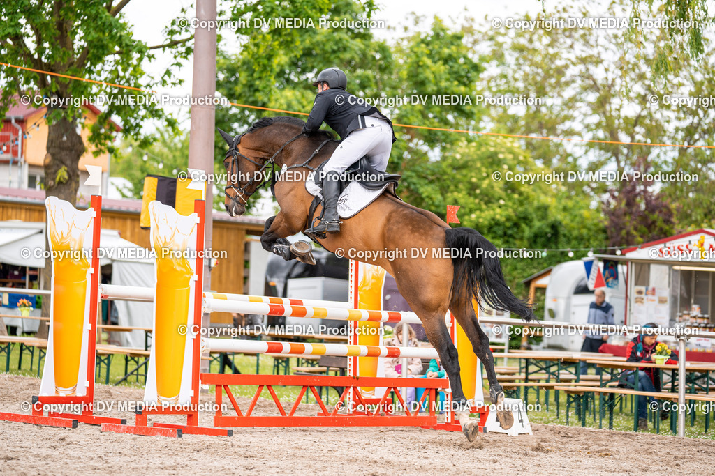 Eppelheim Tag 1-179 | dv-media-shop - Realisiert mit Pictrs.com