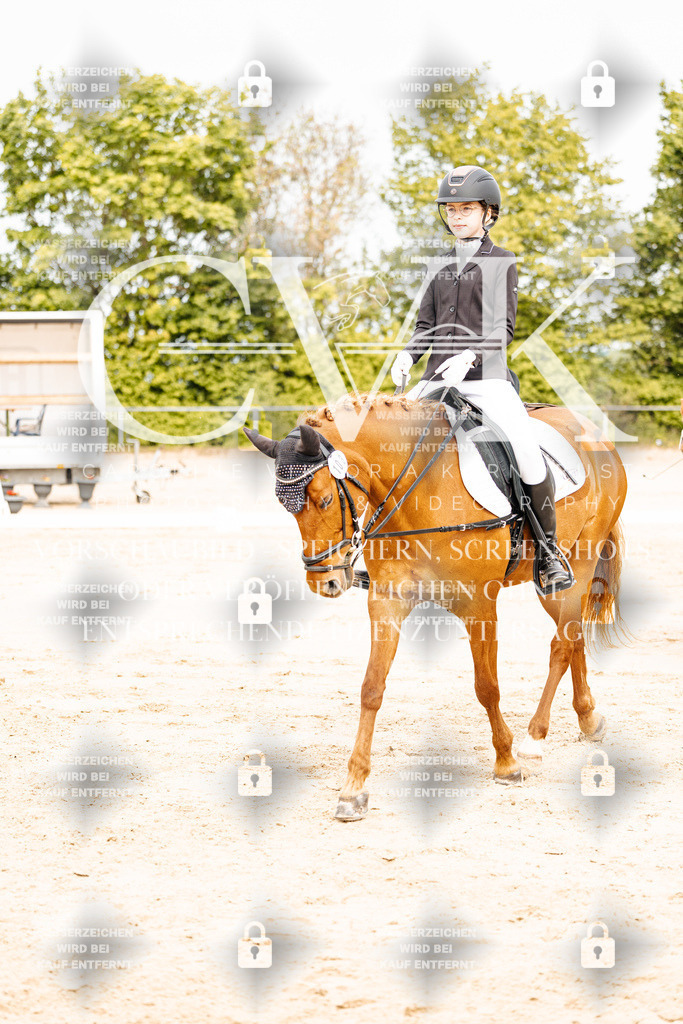 CK904494 | Turnierfotografie Pferdefotografie Trier Rheinland-Pfalz Pferdesport Reitsport Tierfotografie Sportfotografie Pferdevideo Pferdevideografie Equestrianvideography equestrianphotography  - Realisiert mit Pictrs.com