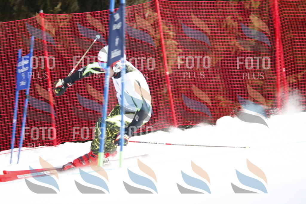 D5548 | holidayphoto