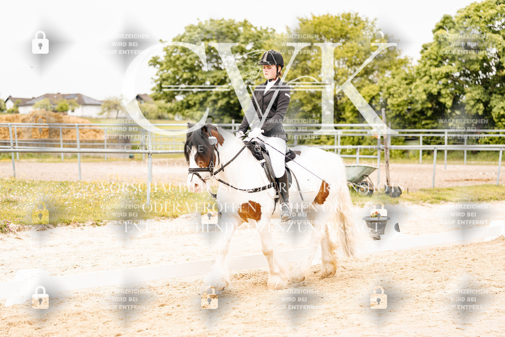 CK904192 | Turnierfotografie Pferdefotografie Trier Rheinland-Pfalz Pferdesport Reitsport Tierfotografie Sportfotografie Pferdevideo Pferdevideografie Equestrianvideography equestrianphotography  - Realisiert mit Pictrs.com