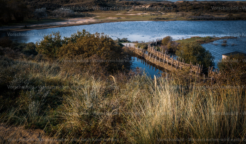 DSC05136 | marcuslinek