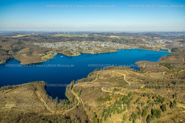 Sundern250304416 | Luftbild, Sorpesee, Waldgebiet mit Waldschäden, Langscheid, Sundern, Sauerland, Nordrhein-Westfalen, Deutschland